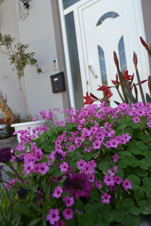 קיסאמוס Amalia'S Apartments מראה חיצוני תמונה